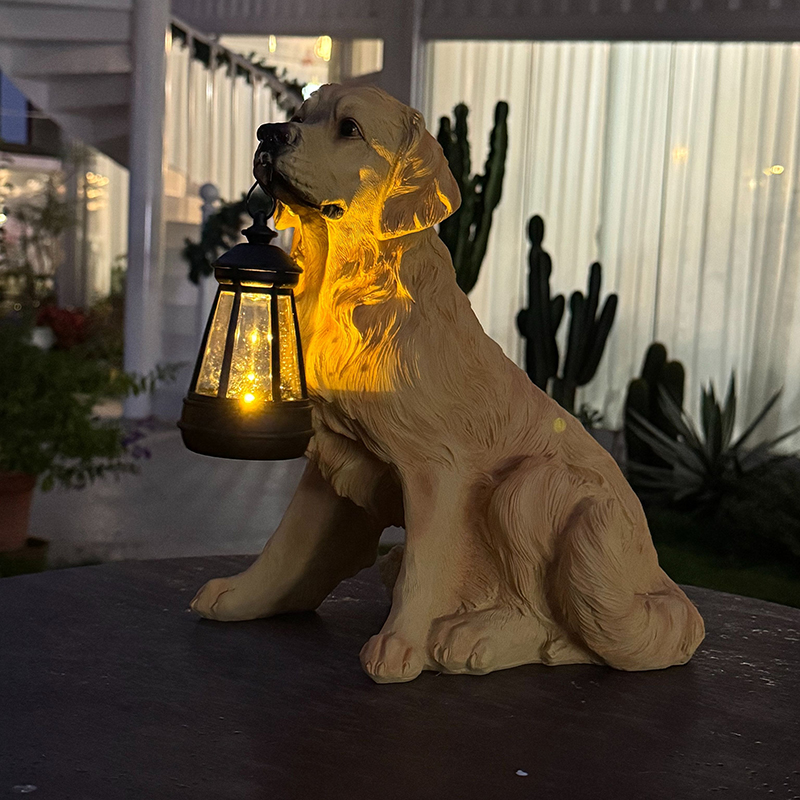 Lampu lantai bercahaya untuk h - Solar Lamp ulasan dan harga